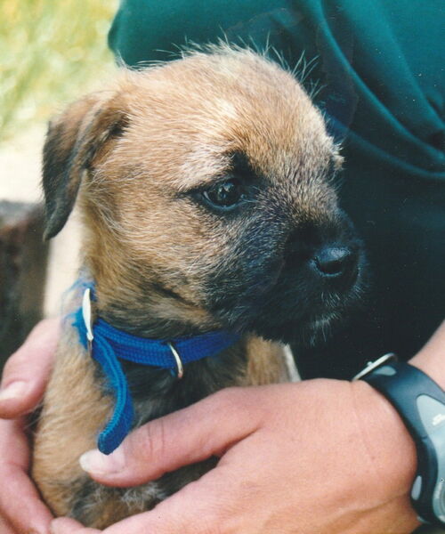 Katharina Lisson, Hundetrainerin in München, mit Hund Pina
